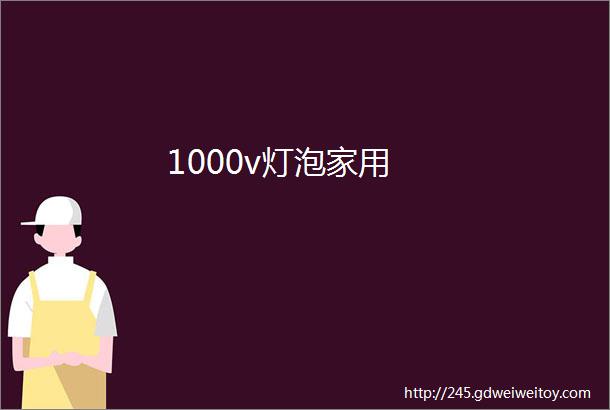 1000v灯泡家用