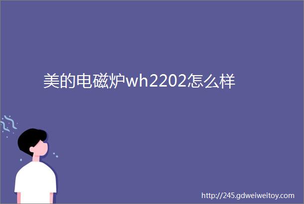 美的电磁炉wh2202怎么样